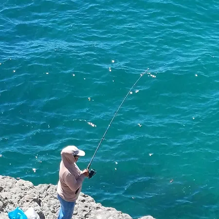 Animar Piso En Algaida Oropesa Oropesa del Mar