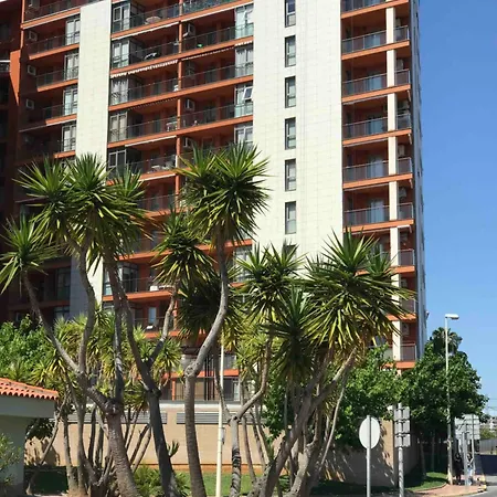 Animar Piso En Algaida Oropesa *
